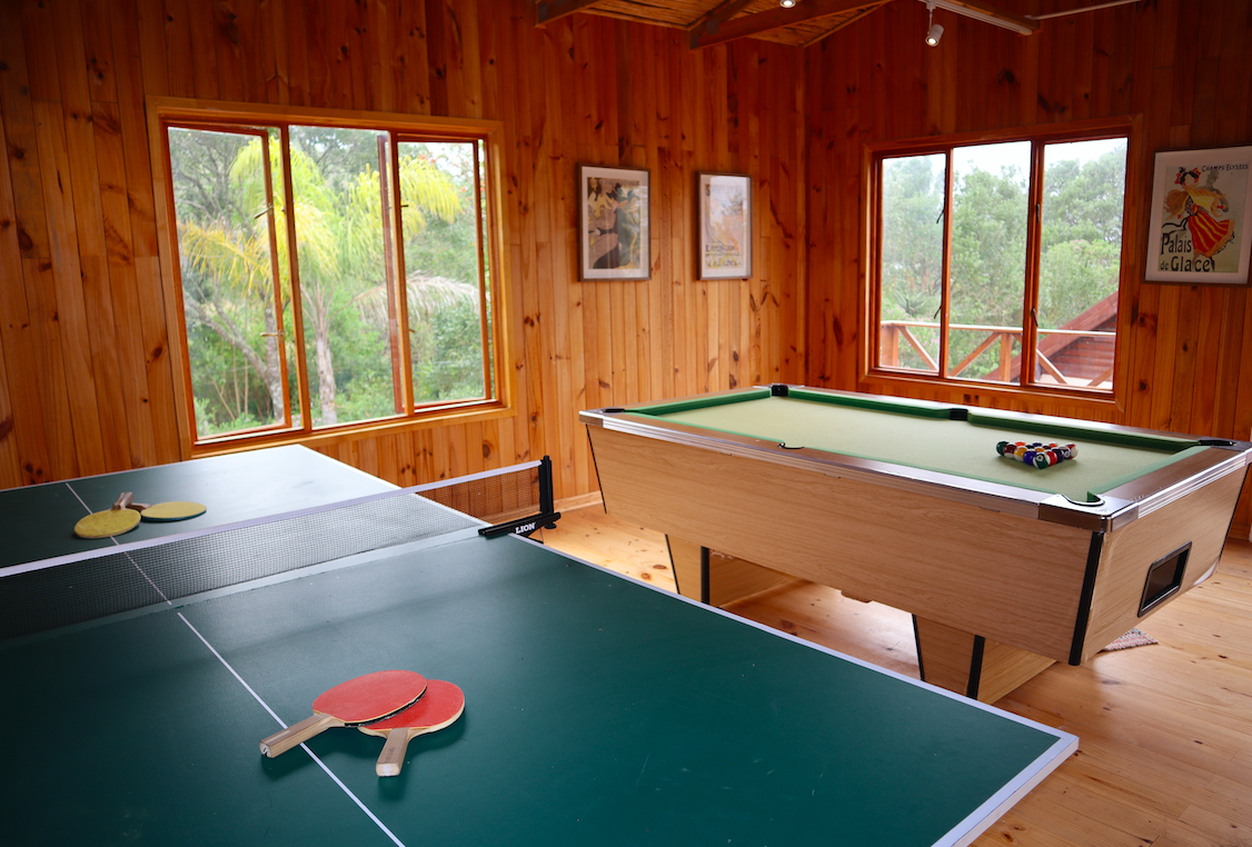 Games room with pool table and table tennis at Kairos on the Lake