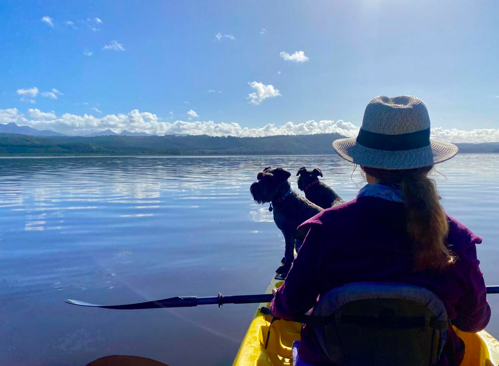 Kayaking on the still lake with two dogs on board